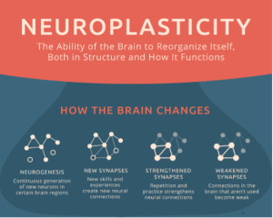 Neuromuscular Rehabilitation